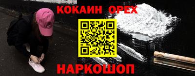 крисы Кингисепп