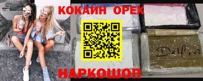 крисы Кингисепп